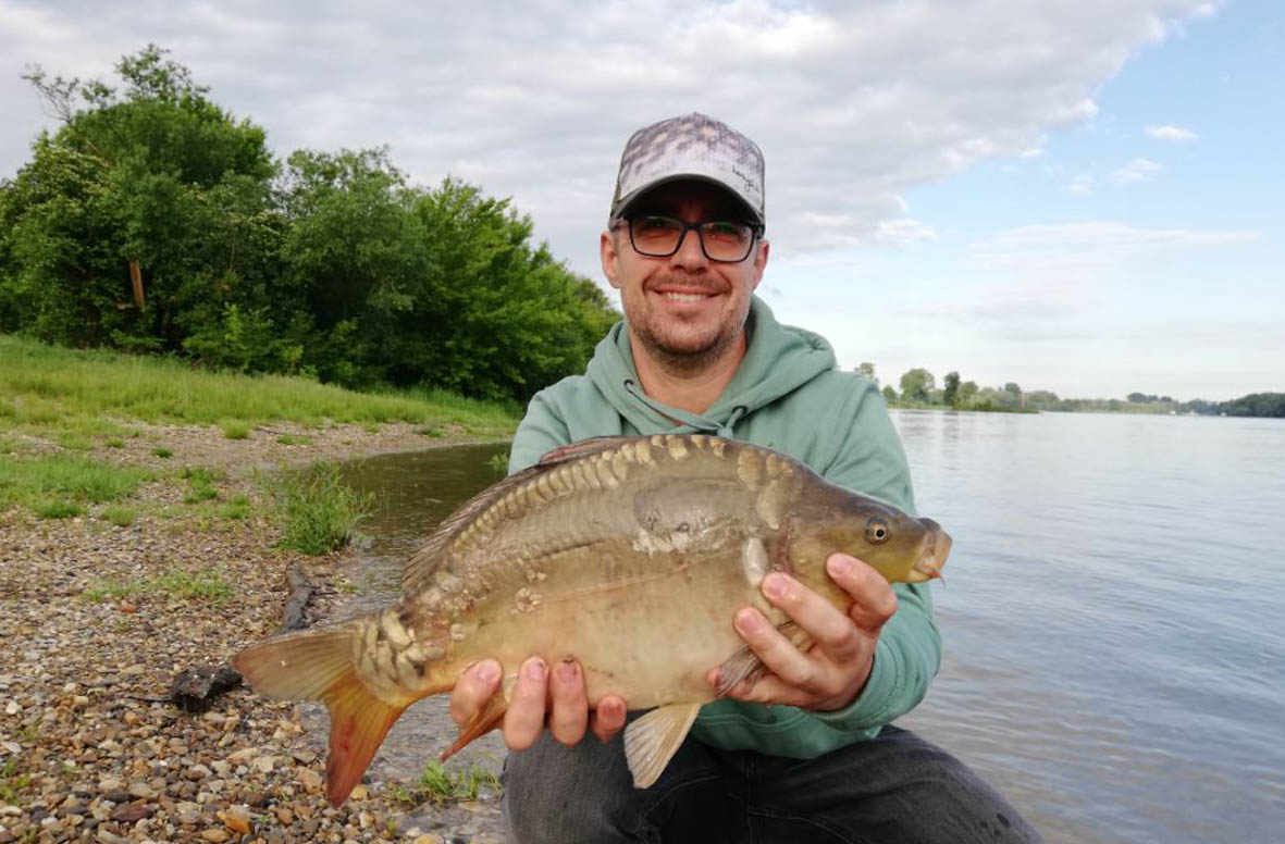 Karpfen-Donau-Angelger&auml;te-M&ouml;nck