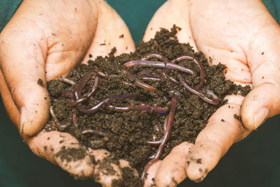 Lebendk&ouml;der-Angelger&auml;te-M&ouml;nck-klein