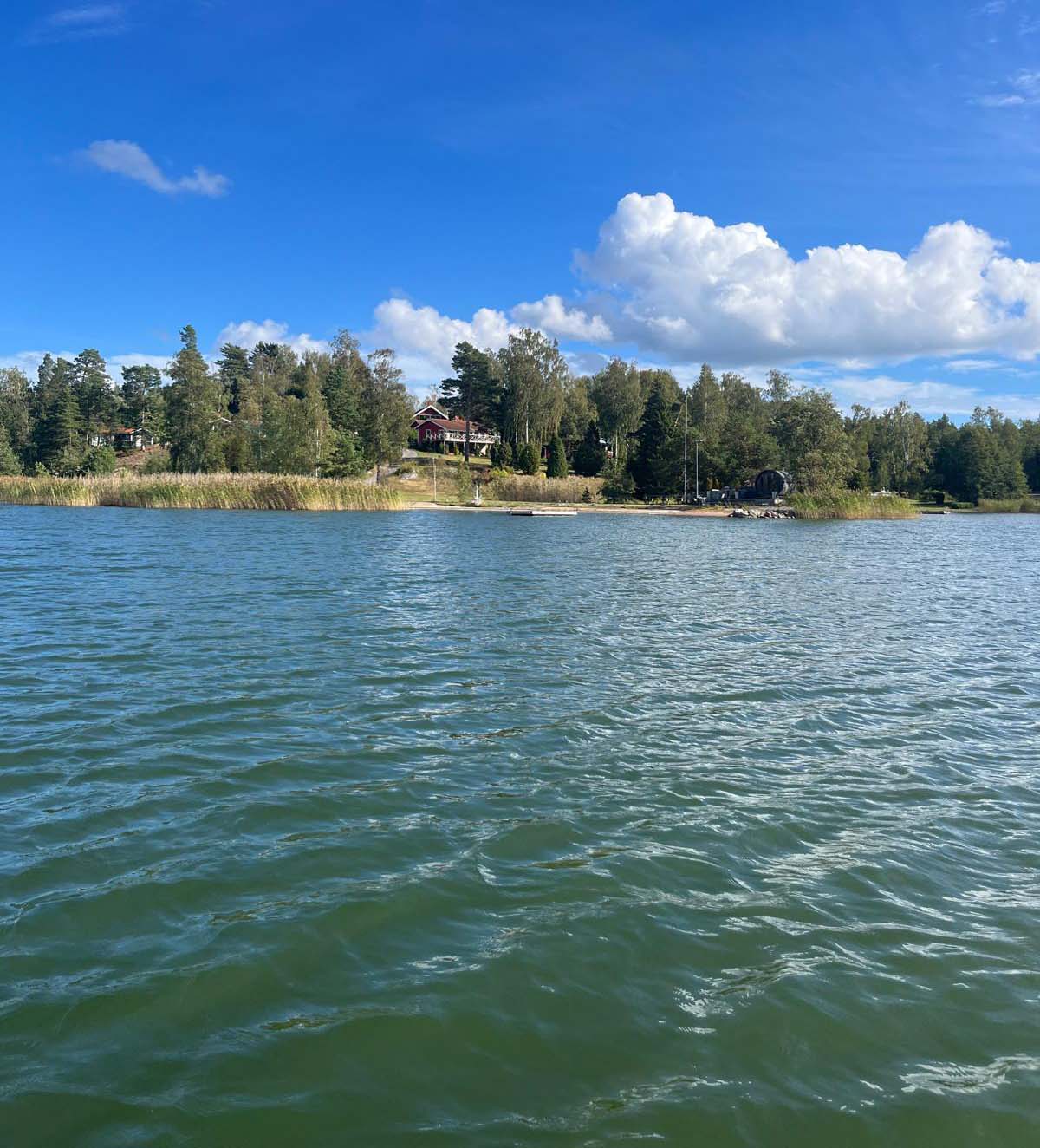 Weiher-Fischereiverein-Plattling-Angelshop-M&ouml;nck