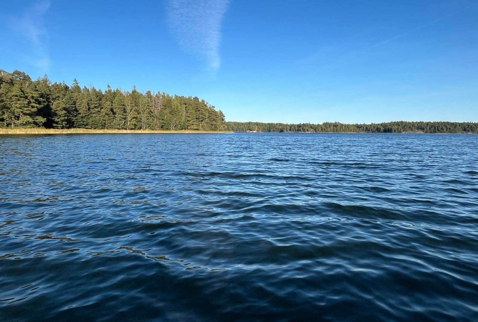 Weiher-Fischereiverein-Plattling-Angelshop-M&ouml;nck