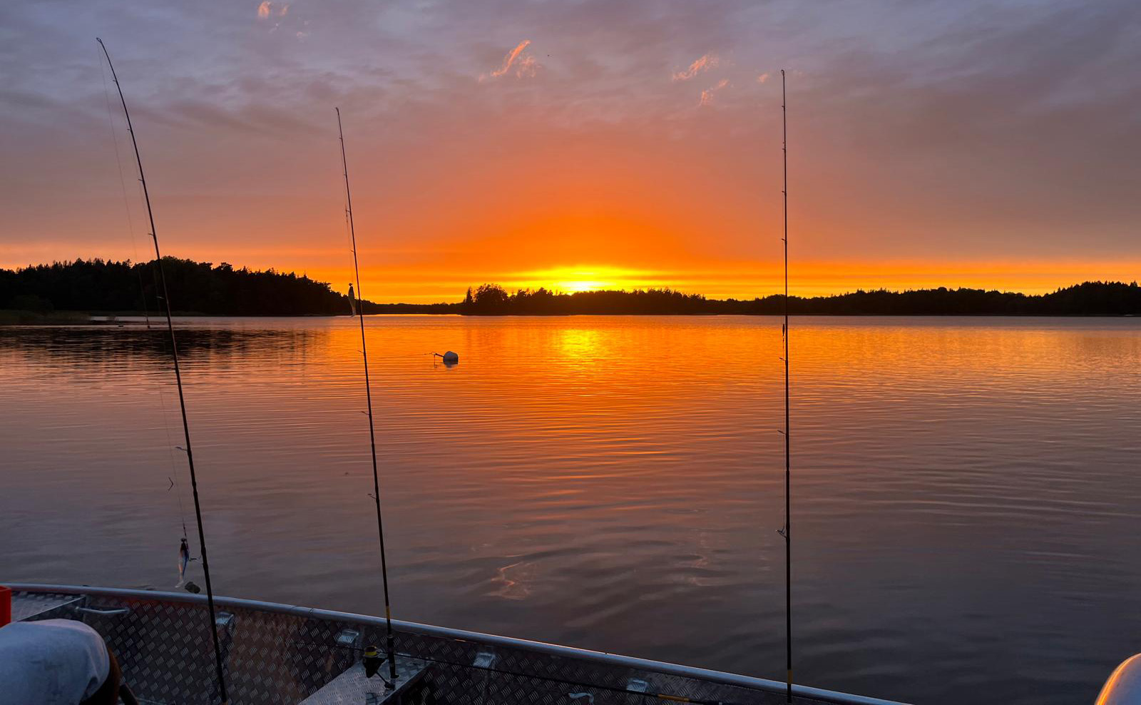 Weiher-Fischereiverein-Plattling-Angelshop-M&ouml;nck